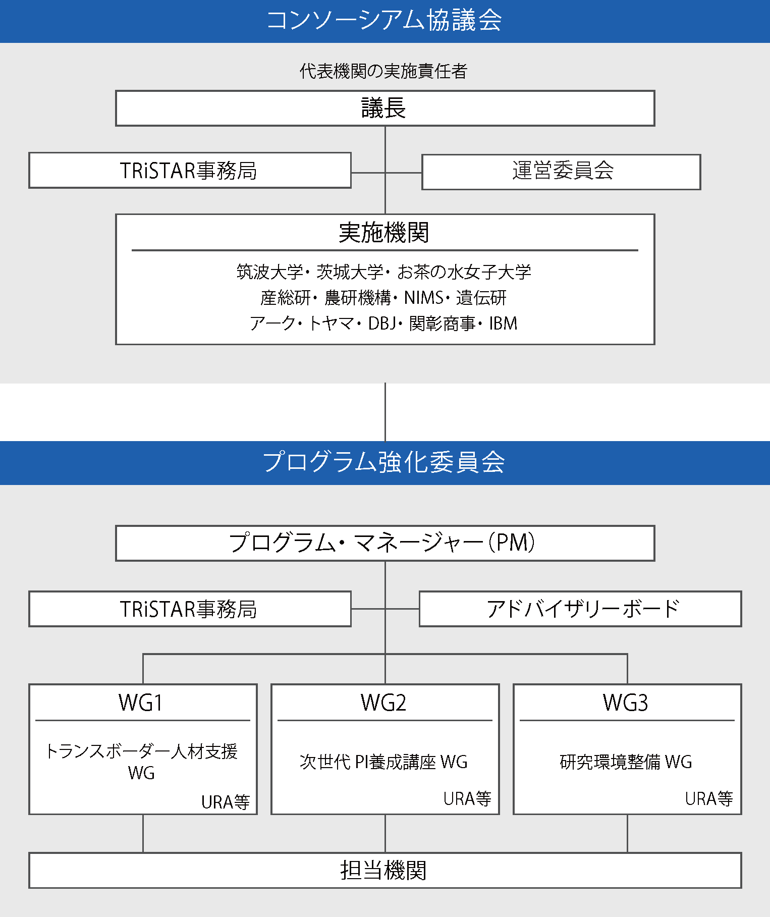 体制と参画機関